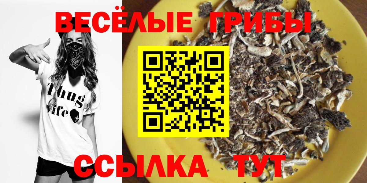 Галлюциногенные грибы GOLDEN TEACHER  Вход с VPN  Асбест 