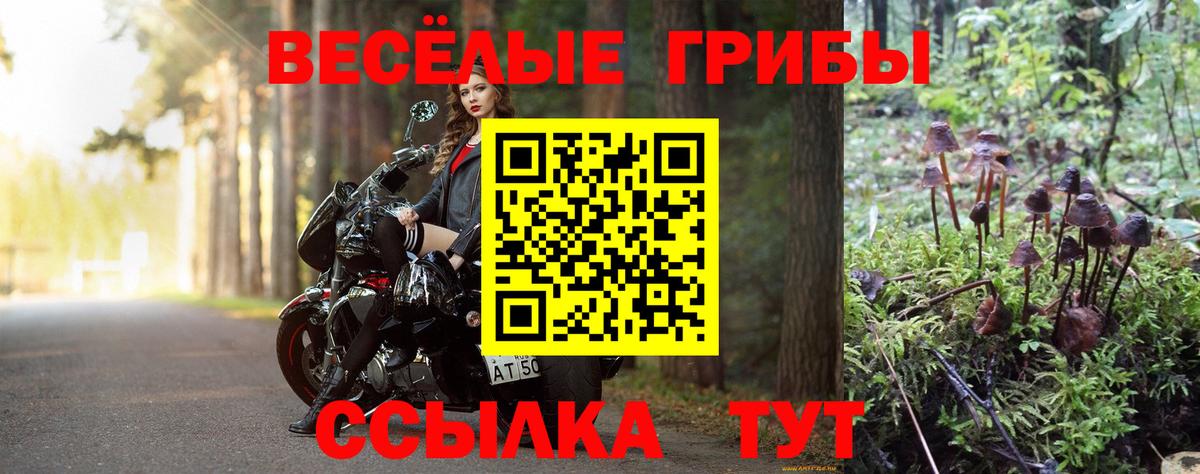 Псилоцибиновые грибы Cubensis Асбест